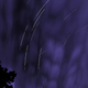 Illustration for article titled 15 Incredible Long Exposures Made Even Longer